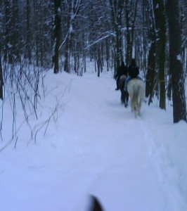 Obrázok