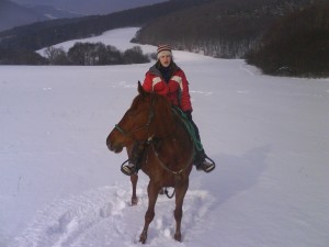 Obrázok