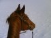 DSC00268.JPG