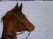 DSC00269.JPG